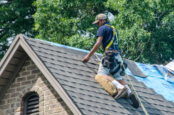 Best Roof Gutter Cleaning  in Buchanan, GA