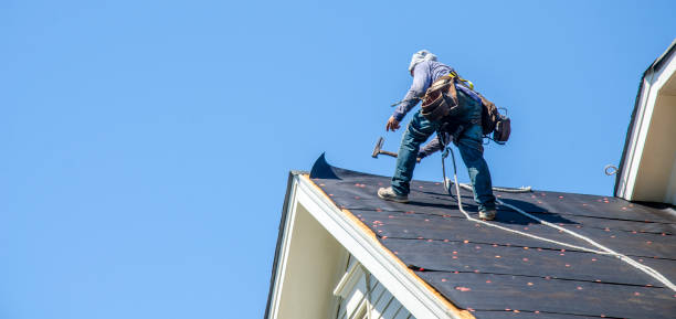 Best Residential Roofing Contractor  in Buchanan, GA